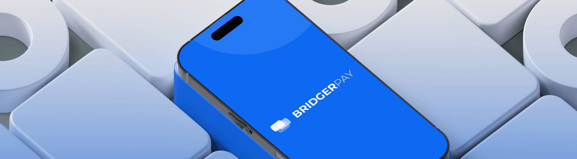 BridgerPay Hero 